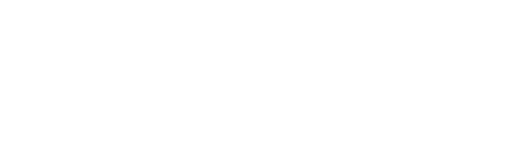 Insanity Records